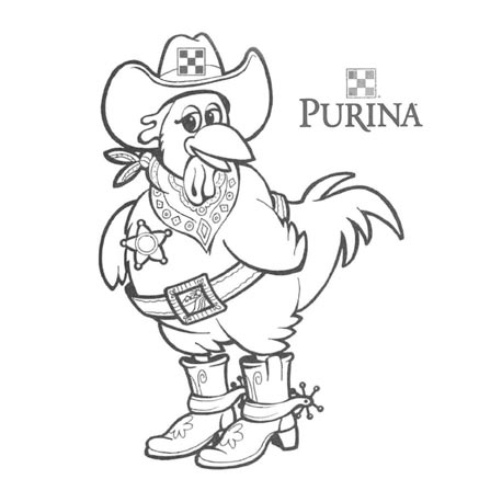 purina-poultry-coloring-pages