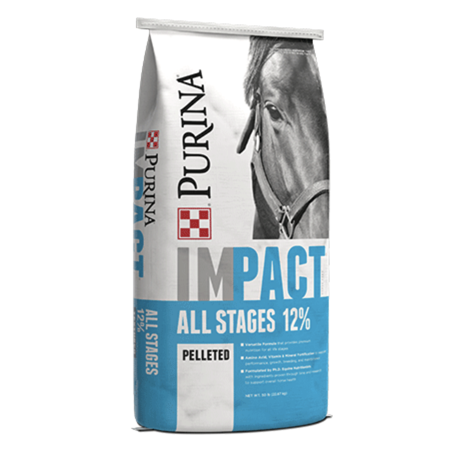 Purina® Impact® All Stages 14% Pelleted Horse Feed [50#]