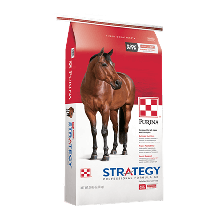 Purina® Strategy® Professional Formula GX Horse Feed 14% Pellet [50#]