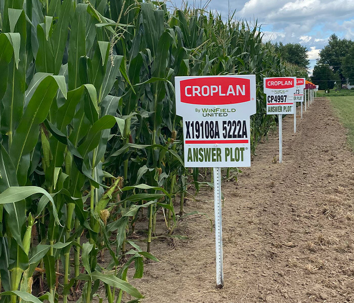 Croplan Corn Plot