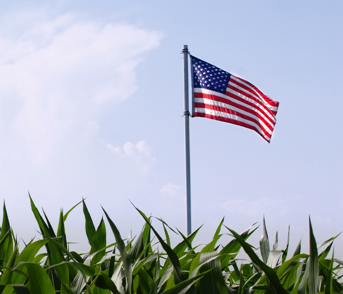 flag above cornfield