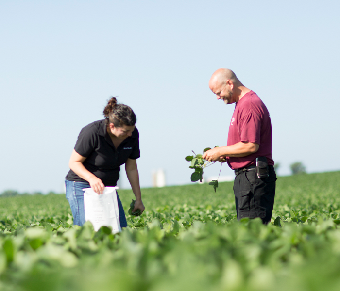 Tissue Sampling