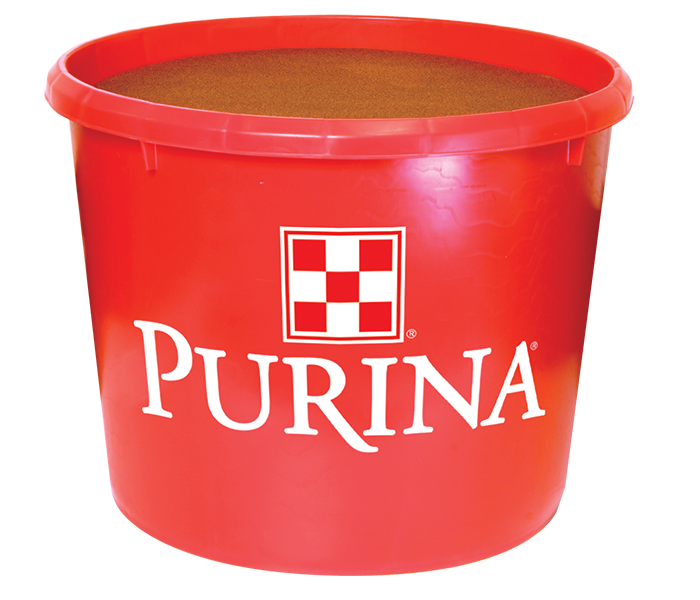 Purina Mineral Tub