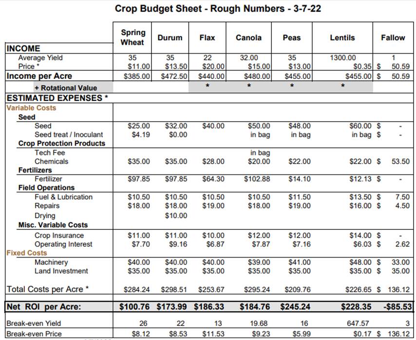 Crop-Budget-Sheet.jpeg