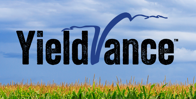 cornfield with YieldVance logo