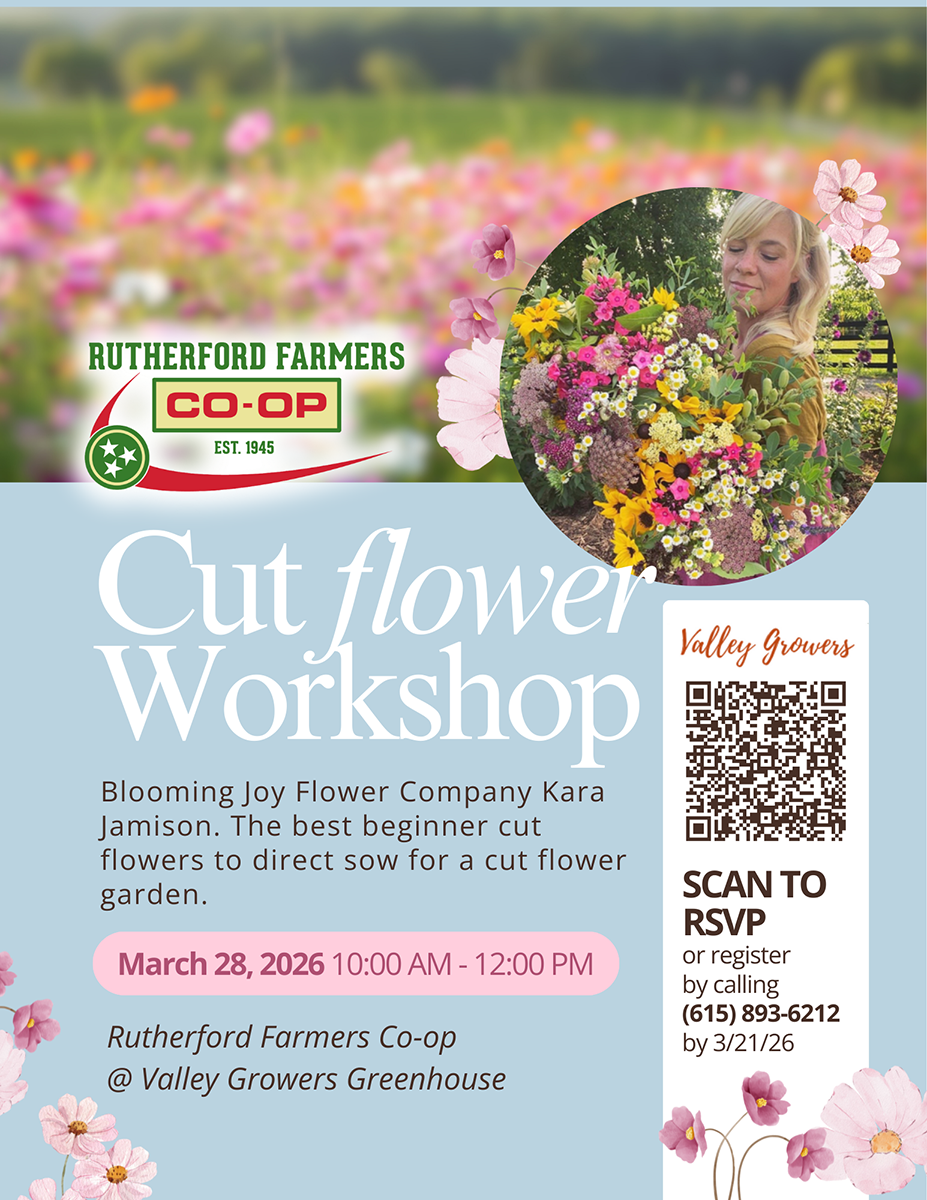 Cut Flower Workshop