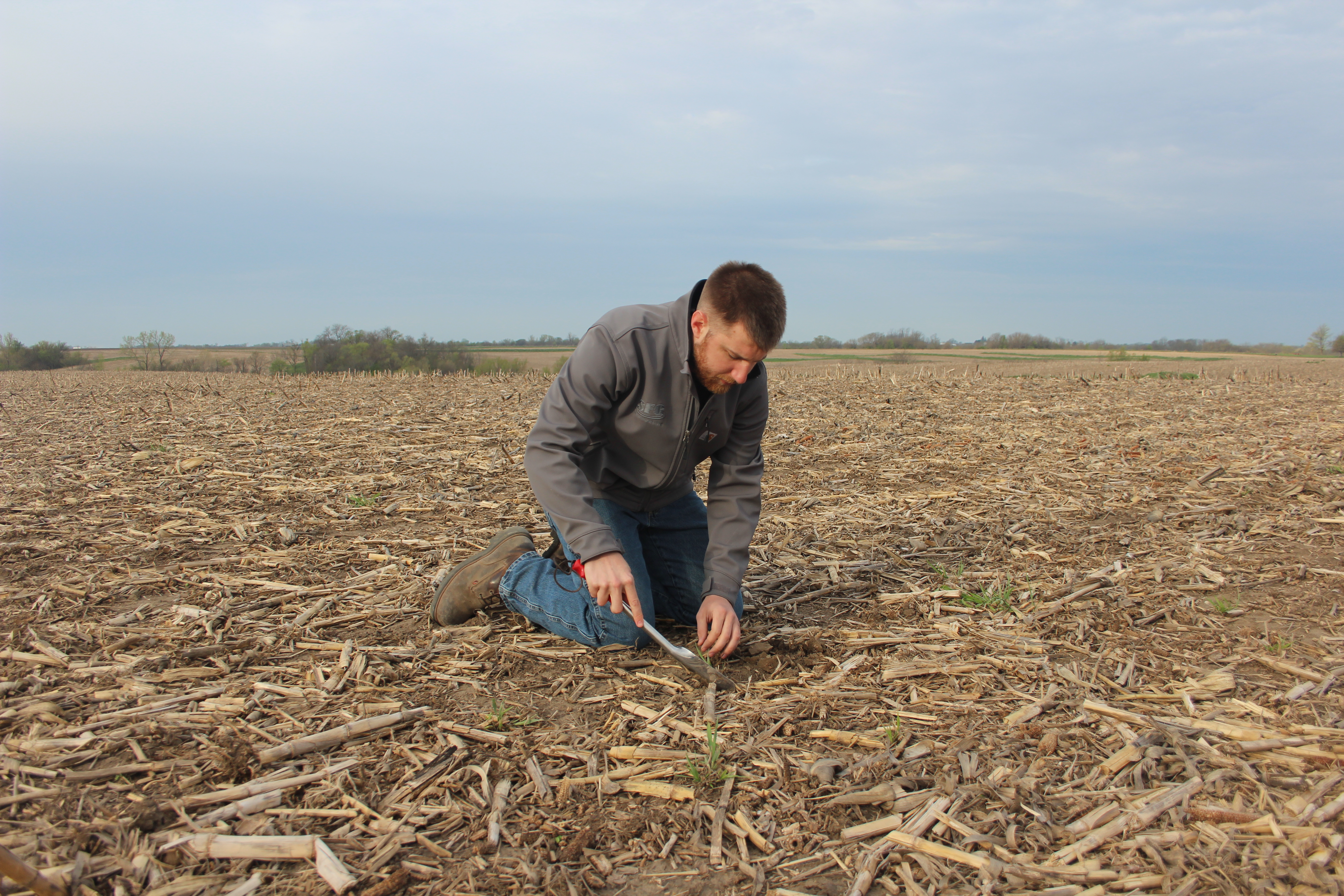 Smith Fertilizer & Grain 