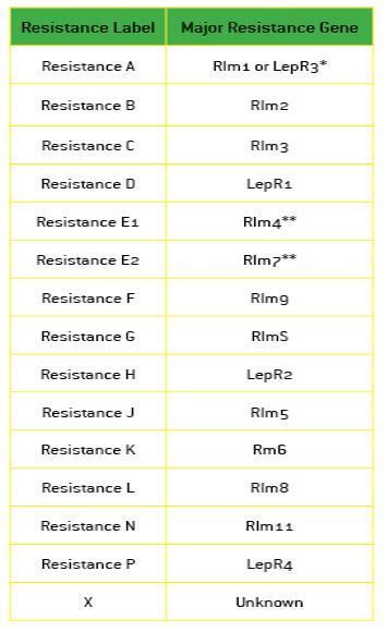 Blackleg Resistance � New Classification System