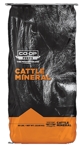 Co-op Foundation IGR Brood Cow Mineral