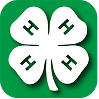 4-h