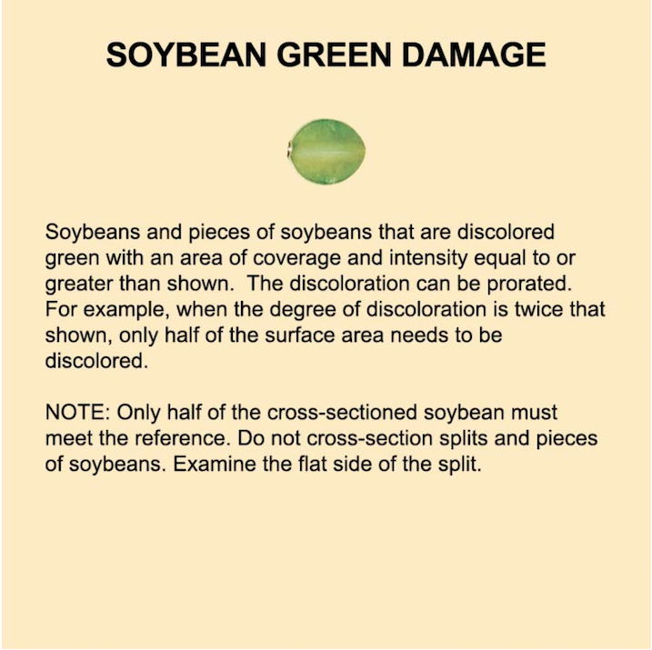 soybean green damage