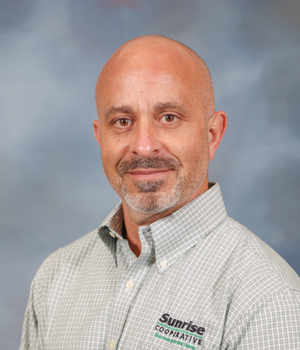 Vice President of Strategic Initiatives