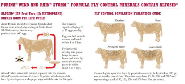 cattle mineral, fly control