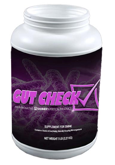 BANNER NUTRITION GUT CHECK