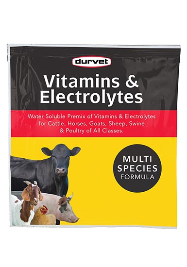 DURVET VITAMINS & ELECTROLYTES PLUS