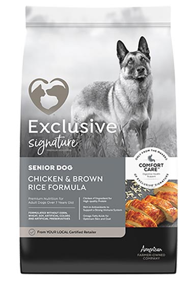 EXCLUSIVE SIGNATURE SENIOR DOG