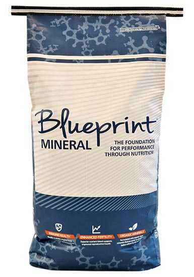 BLUEPRINT GOAT MINERAL