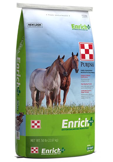 ENRICH PLUS