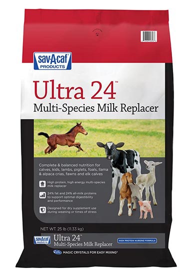 ULTRA 24 MULTI SPECIES MILK REPLACER