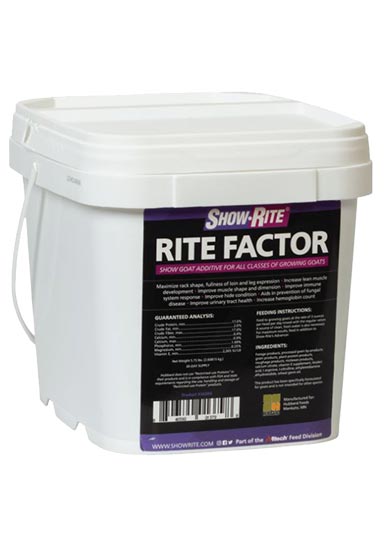 RITE FACTOR