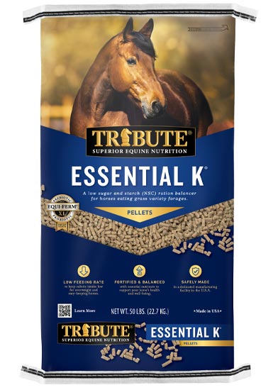 ESSENTIAL K