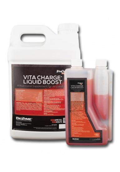 VITAFERM VITA CHARGE LIQUID BOOST