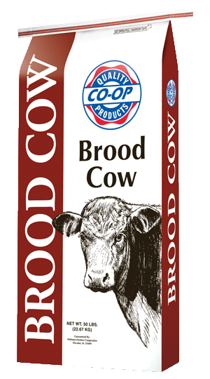 Brood Cow feed bag.