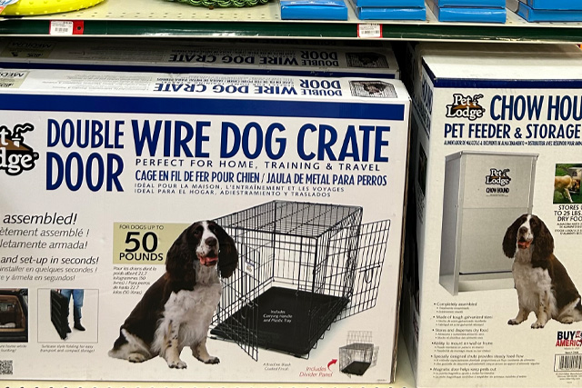 Pet Lodge brand double door wire dog crate, and a pet feeder and storage container.