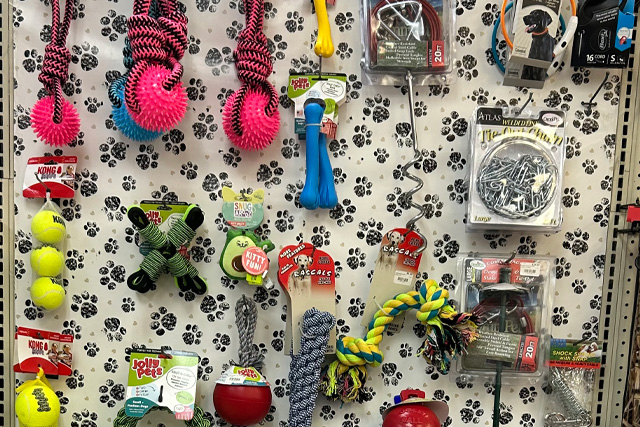 Dog toys on a display rack. There's a variety of tennis balls, rops, and various chew toys. The image also features tie outs.