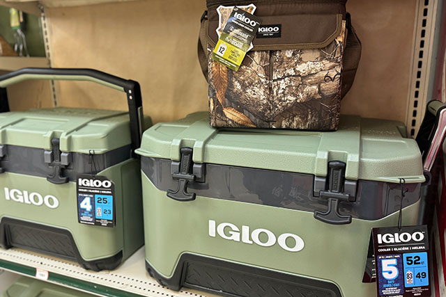 Green Igloo brand coolers on a display shelf.