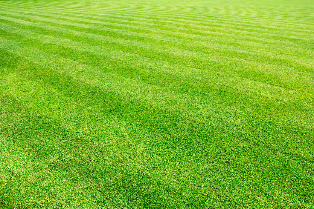 commercial lawn