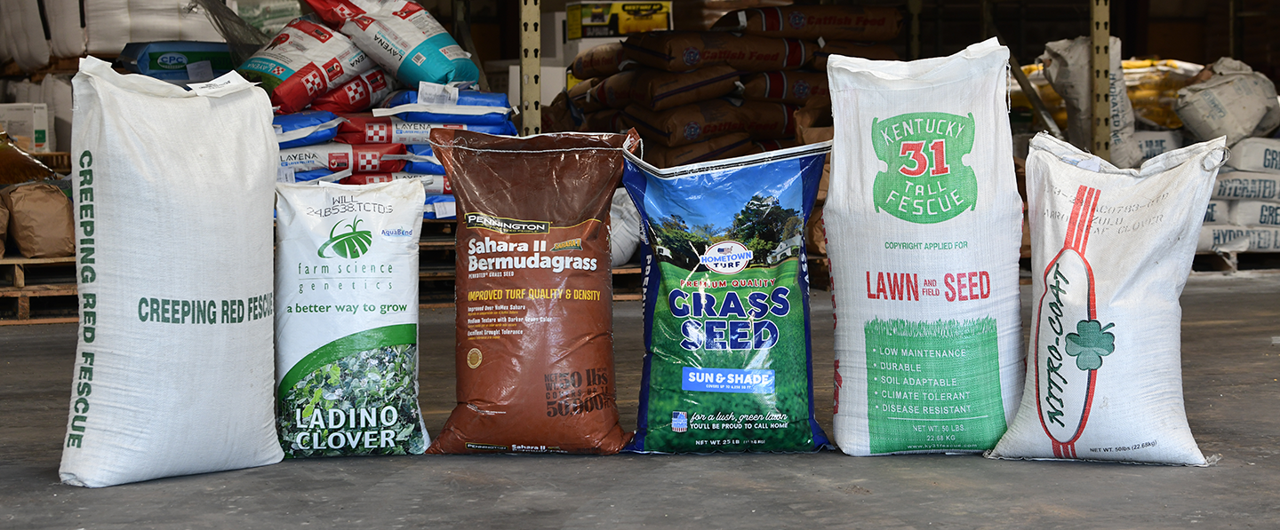 grass seed varieties including creeping red fescue, ladino clover, sahara II bermudagrass, sun & shade grass seed, nitrocoat and 31 tall fescue seed