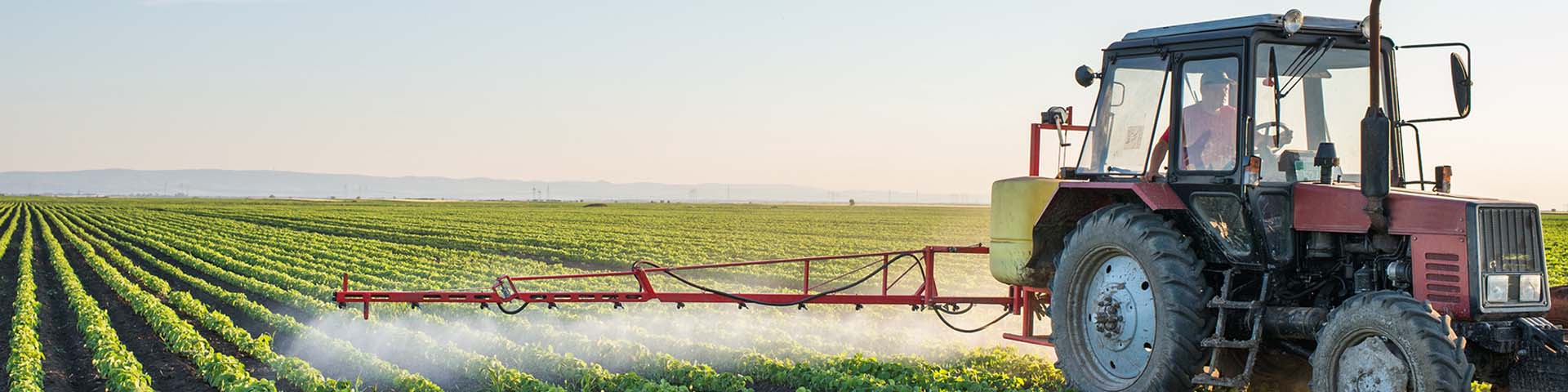 A red tractor pulling a sprayer that is psraying crops in a giant field.