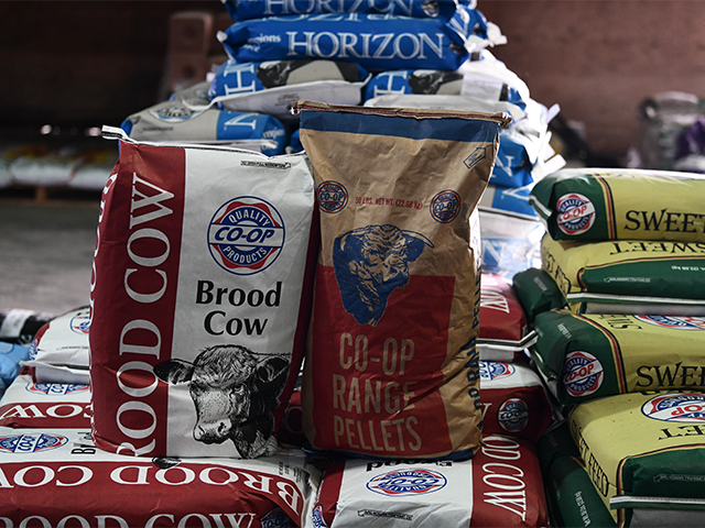 cattle feeds from afc including brood cow, co-op range pellets, and sweet feed