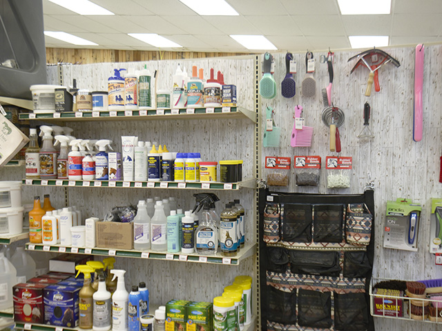 An overview of equine grooming supplies including brushes, combs, squeegees, scrapers, trimmers, and various shampoos, conditioners, and other skin and hoof treatments.