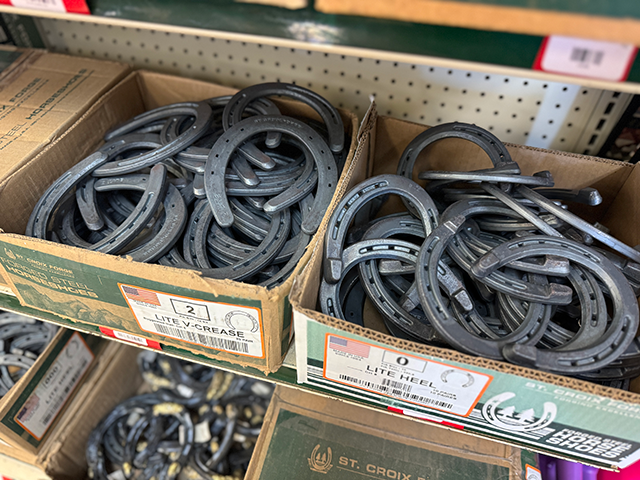 a variety of horse shoes available