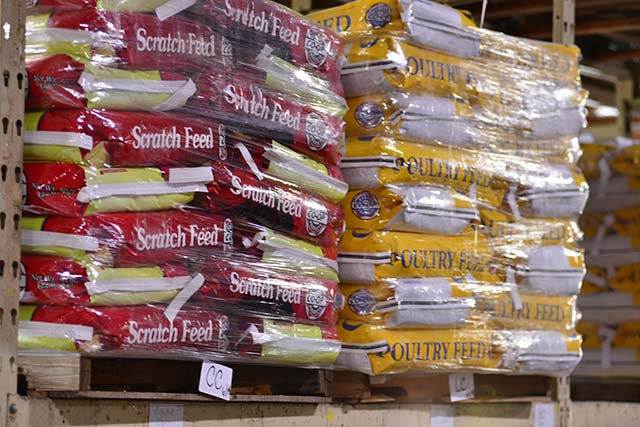 poultry feeds