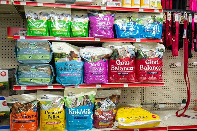 overview of goat feeds