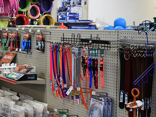 dog-leahes-collars-toys