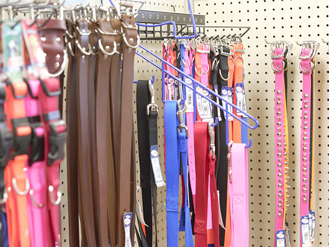pet-collars-leashes-1