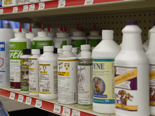 pet-flea-tick-prevention