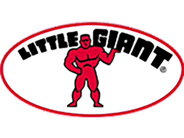 Little Giant