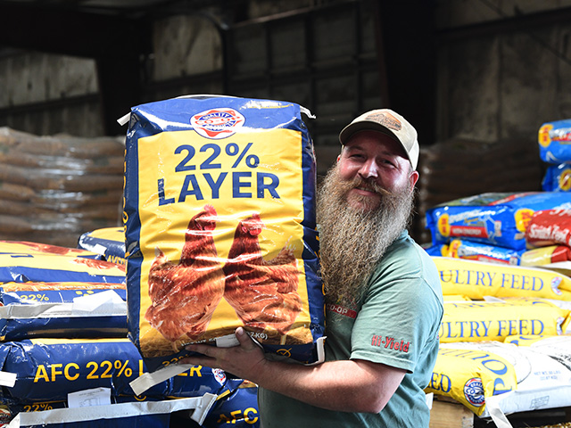 afc feeds 22% layer
