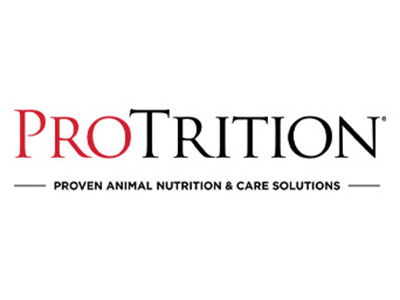 Protrition