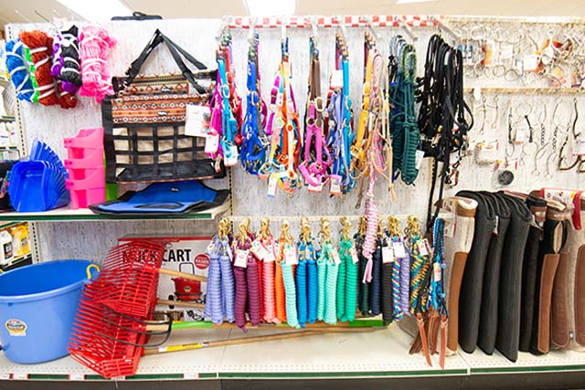 A shelf wall filled with various equine equipment and supplies such as bridles, saddle pads, halters, stirups, and feed containers.
