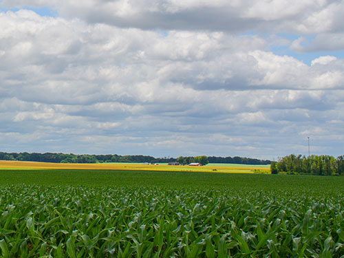 A long distance shot of a farm and their fields of crops