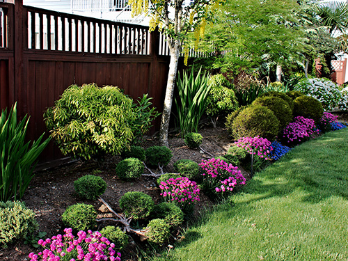 Landscaping Secrets from the Pros