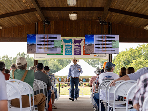 A photo from a Field Day organized by UTIA.