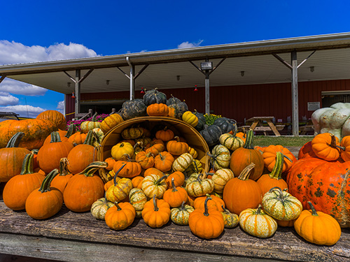 An outdoor table stacked with pumpkins in various sizes.