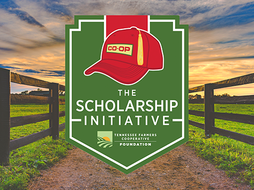 The Scholarship Initiative - Tennessee Farmers Cooperative Foundation